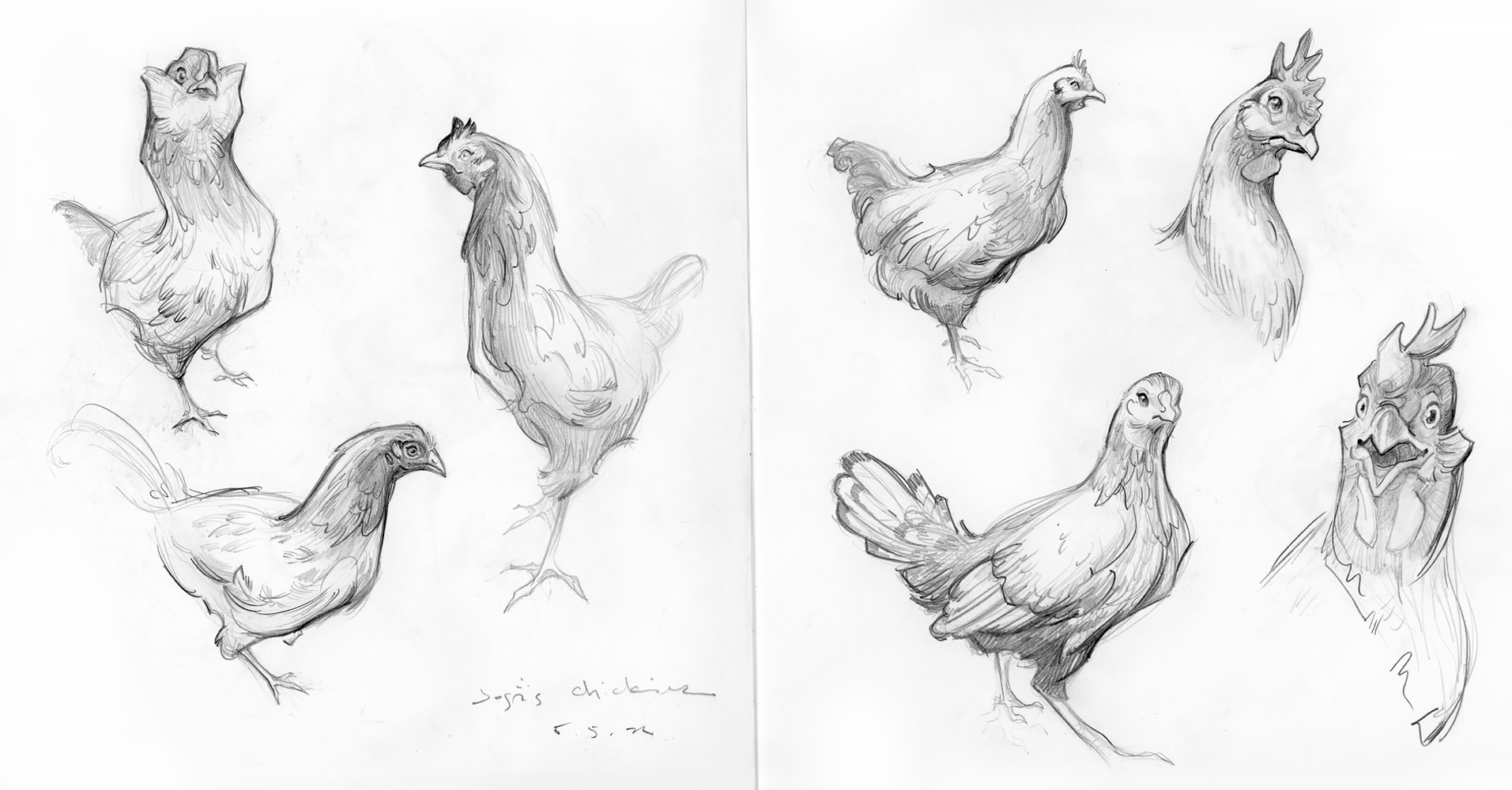 ashereast_sketchbook_josas_chickens.png