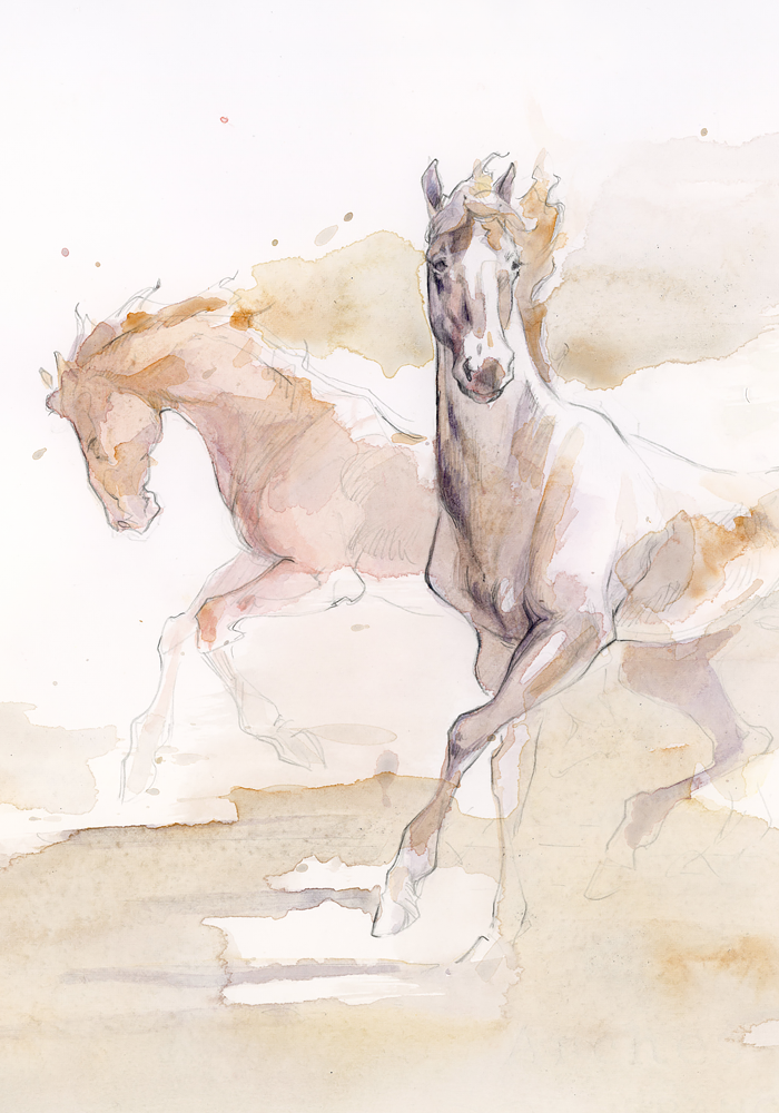 Akhal-Teke1.png