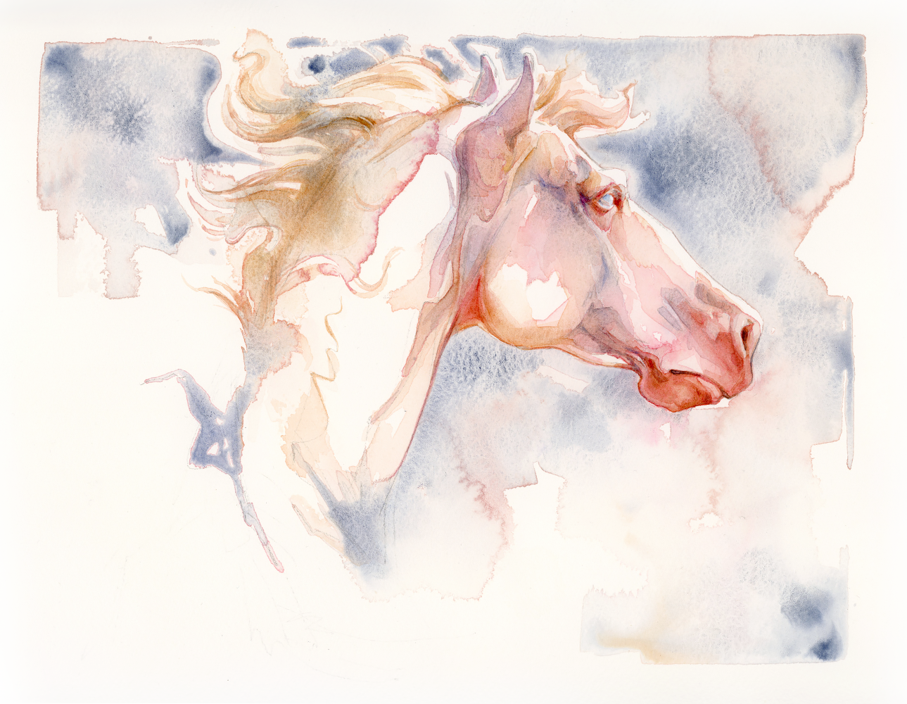 ashereast_Akhal-Teke_Portrait1_watercolor_1000.png
