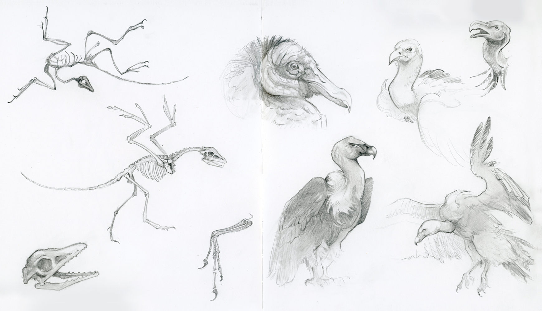 ashereast_sketchbook1_waiteryouvultures.png
