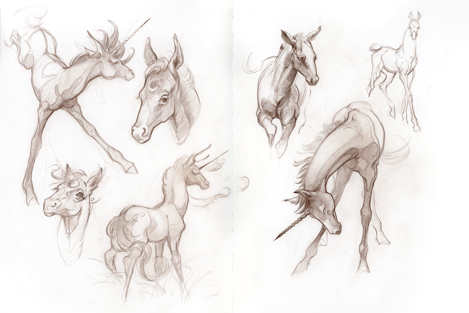 ashereast_sketchbook_horse_studies_1.png