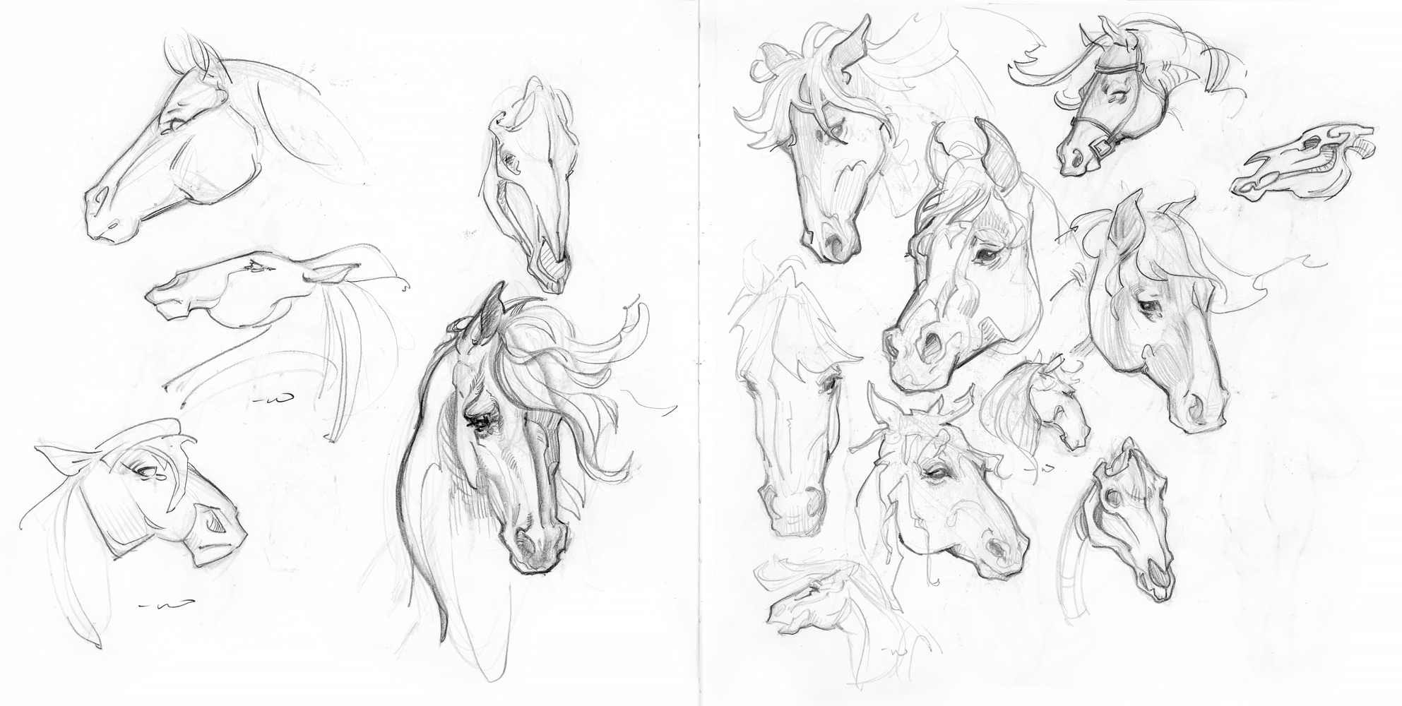 ashereast_sketchbook_horse_studies_wendling.png