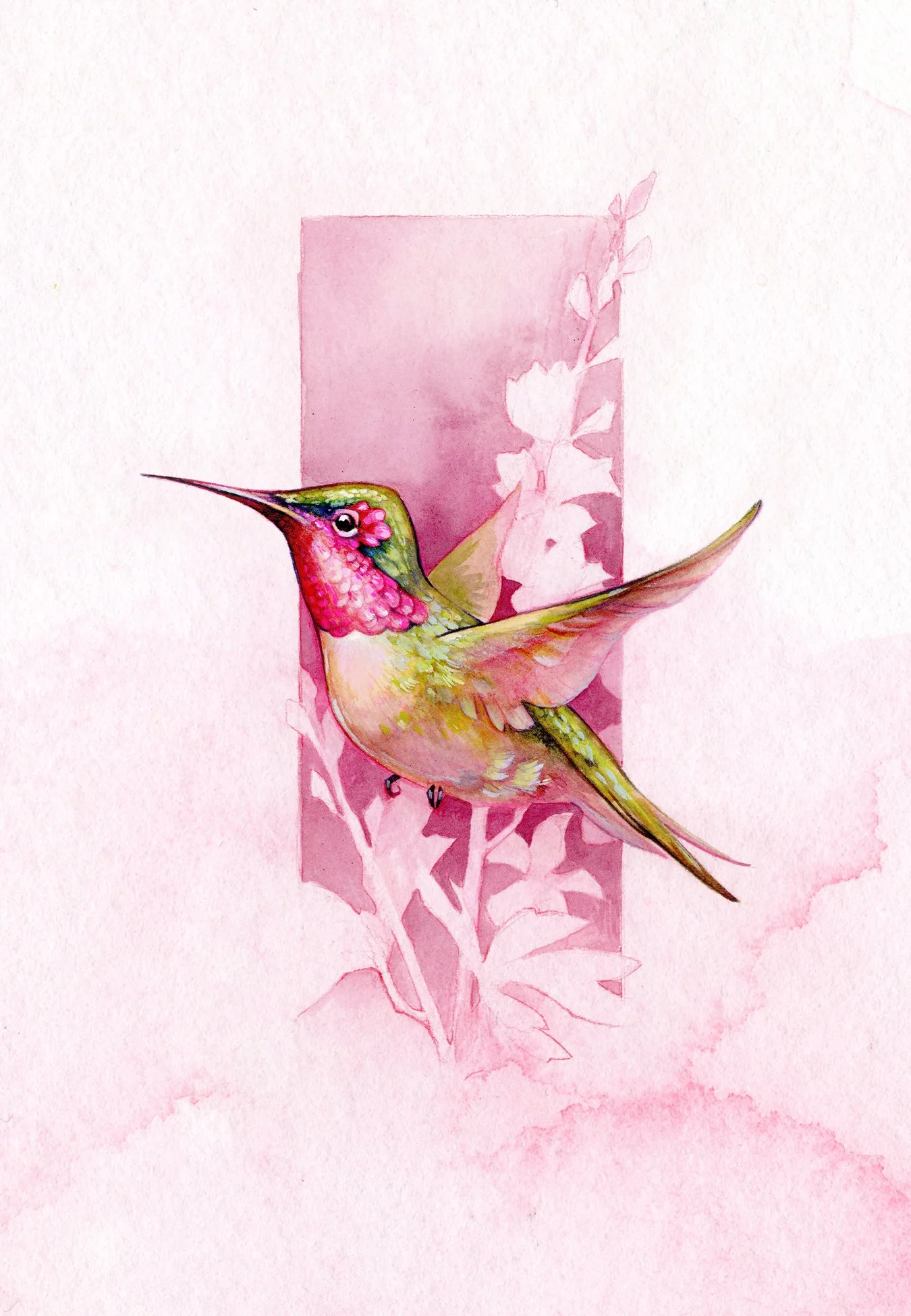 HummingbirdNewPostcardFront4x6_425x65.jpg