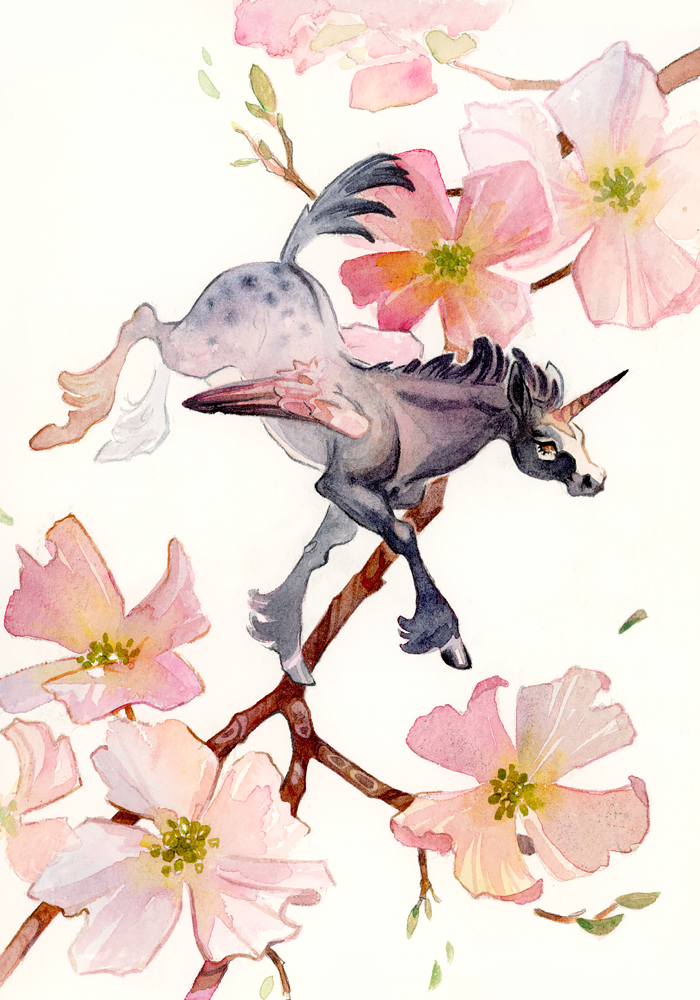 dogwoodfairy.png
