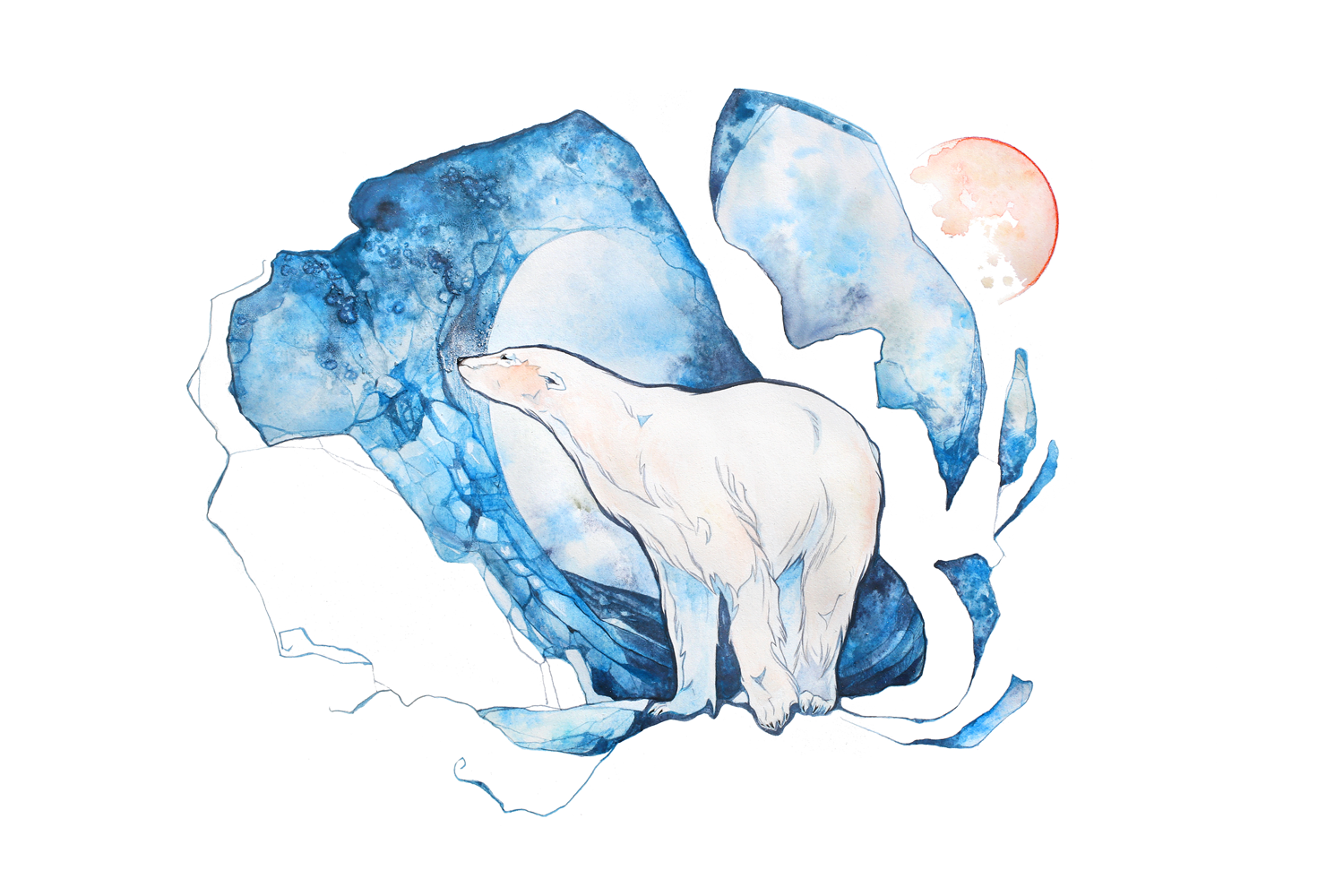 polarbear.png