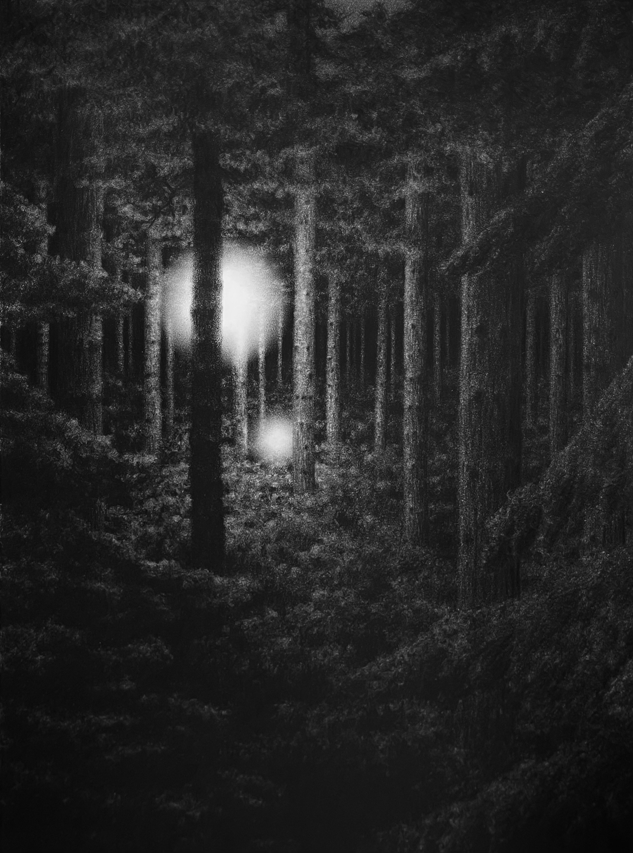   forest study   graphite on paper. 12 x 9. 2021. 