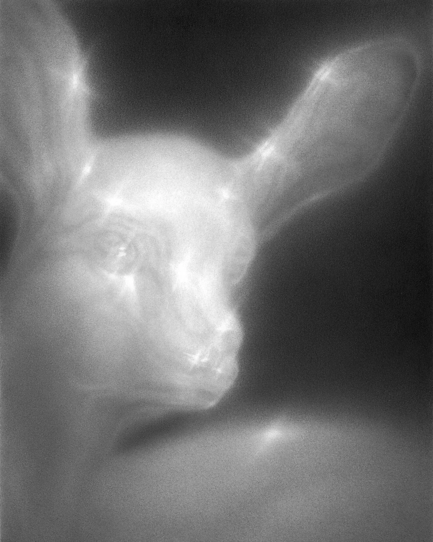 I made this lil buddy for Deposition: Drawn curated by @timlowly at North Park University ✨
.
.
.
.
#graphite #graphitedrawing #portraitdrawing pencildrawing #blackandwhite #monochrome blackandwhitedrawing #art #worksonpaper #figurativeart