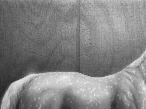 ✨#wip details
.
.
.
.
#graphite #graphitedrawing #pencildrawing #blackandwhite #art #contemporarydrawing #contemporaryart #figurativeart #drawingdetail #toyhorse #breyerhorse #home