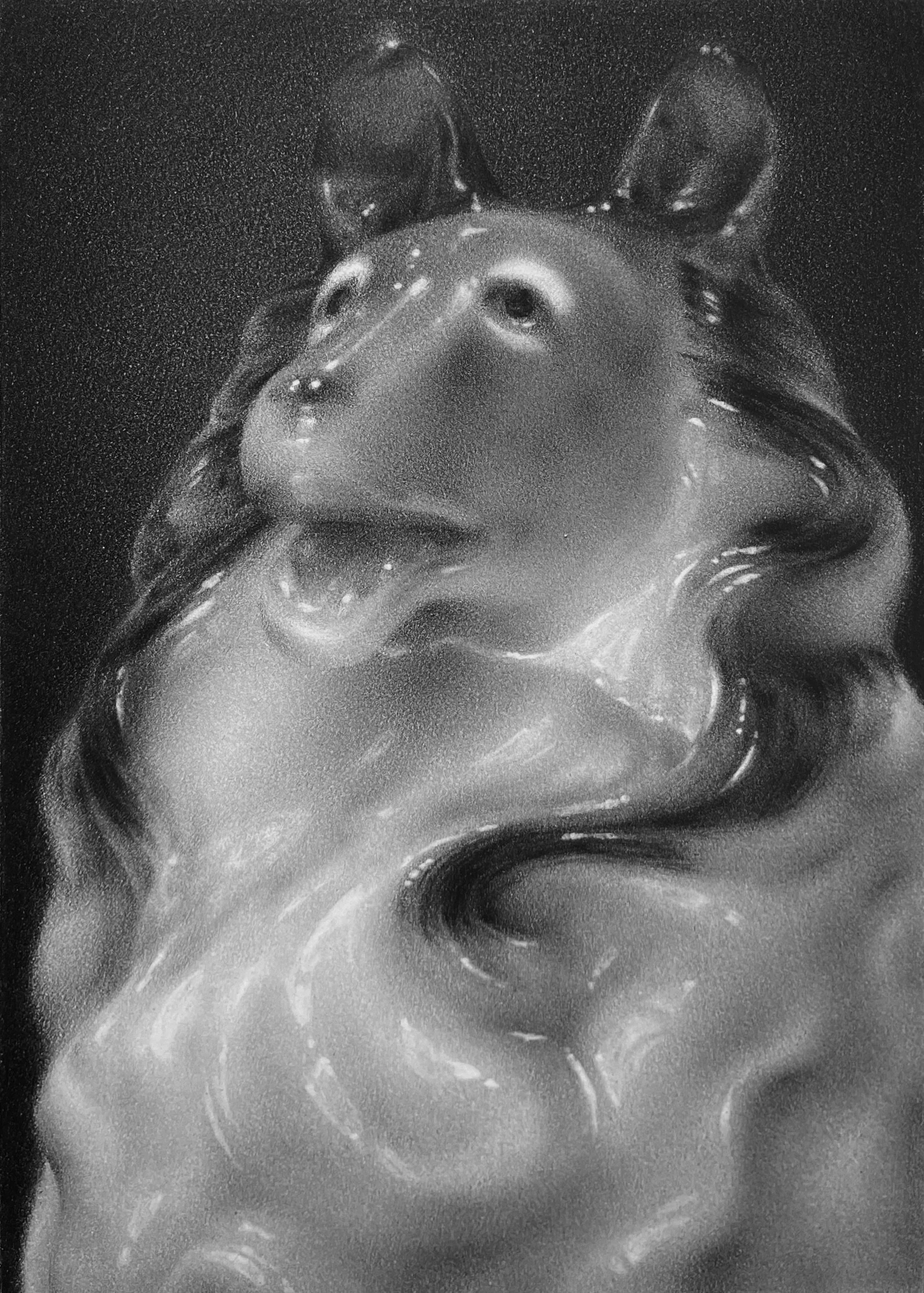   scout ii   graphite on paper. 7×5. 2025 