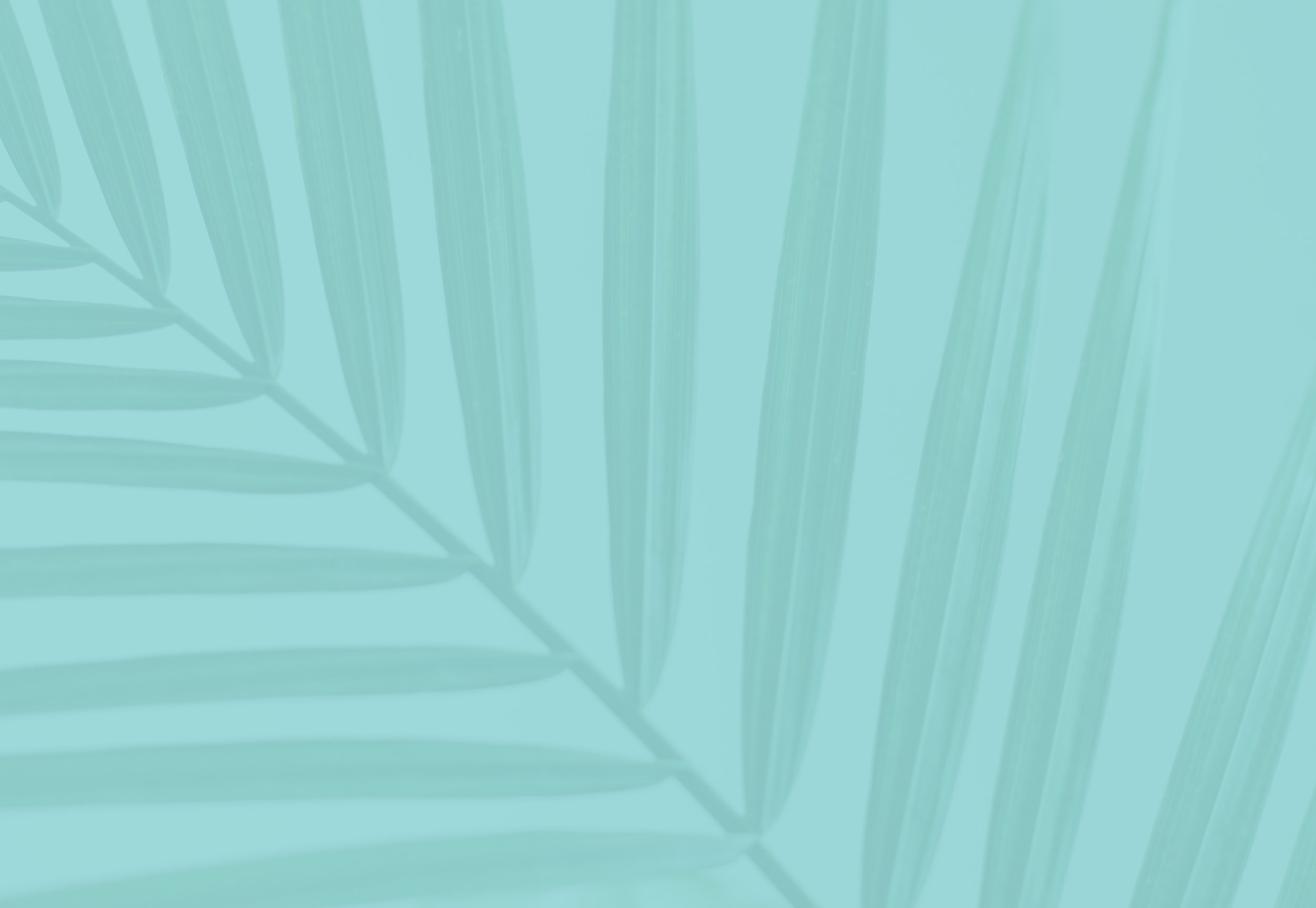 Website_Background_Image_6 copy.jpg