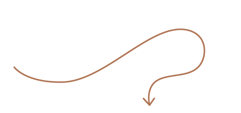 A brown line forming a looping arrow pointing downward.