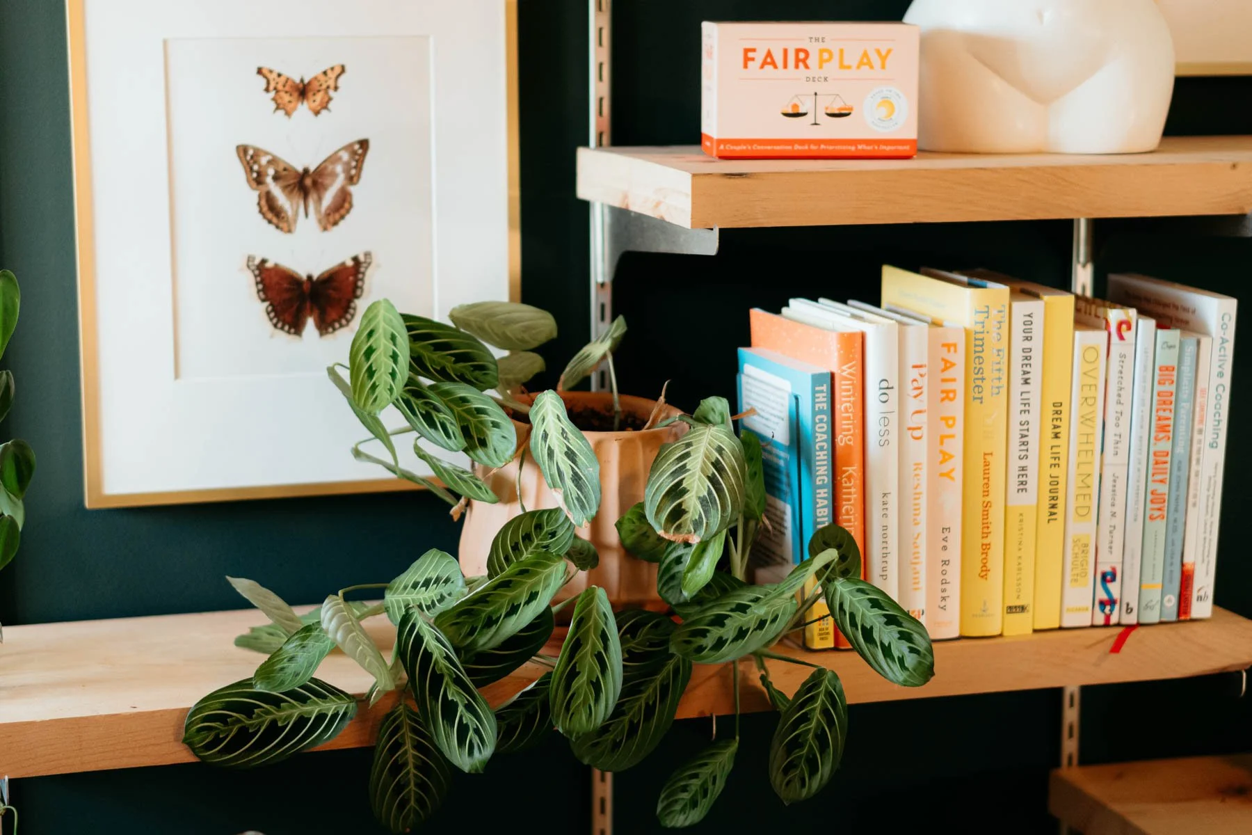 A bookshelf with books, a potted plant with green leaves, and a framed picture of butterflies on a dark green wall.