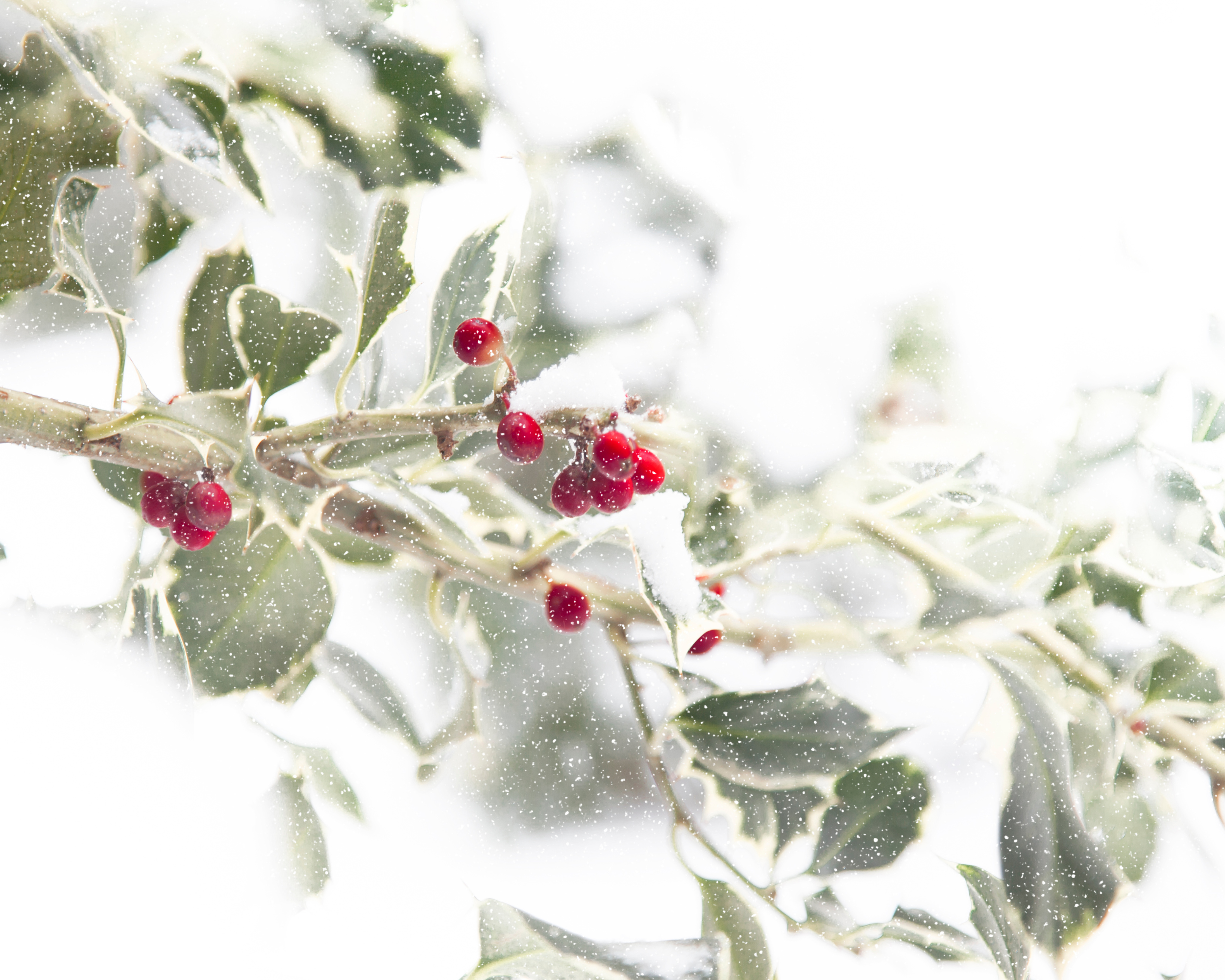 PWM WEBSITE HEADERS.png