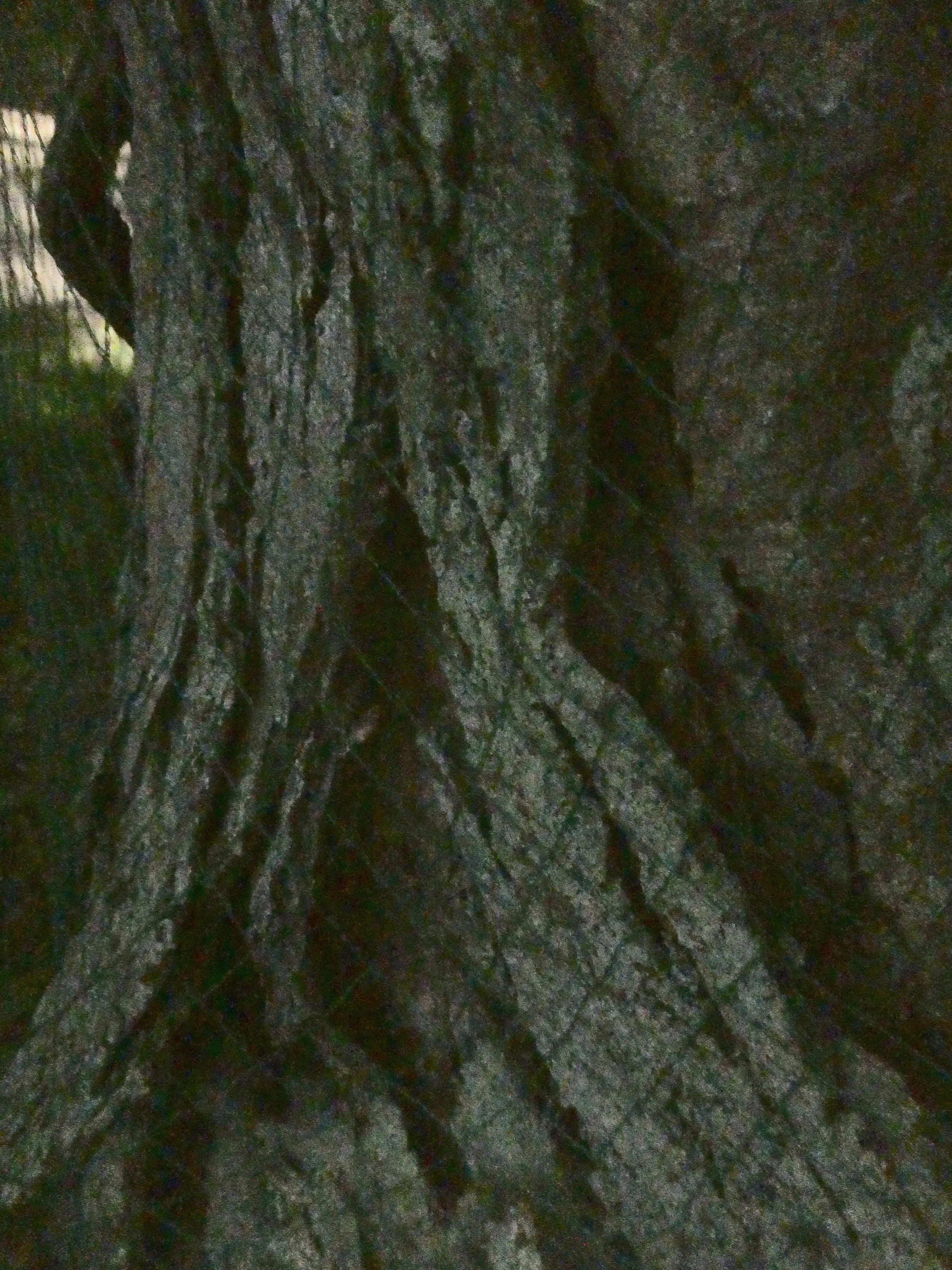 n e t (trunk wrap)