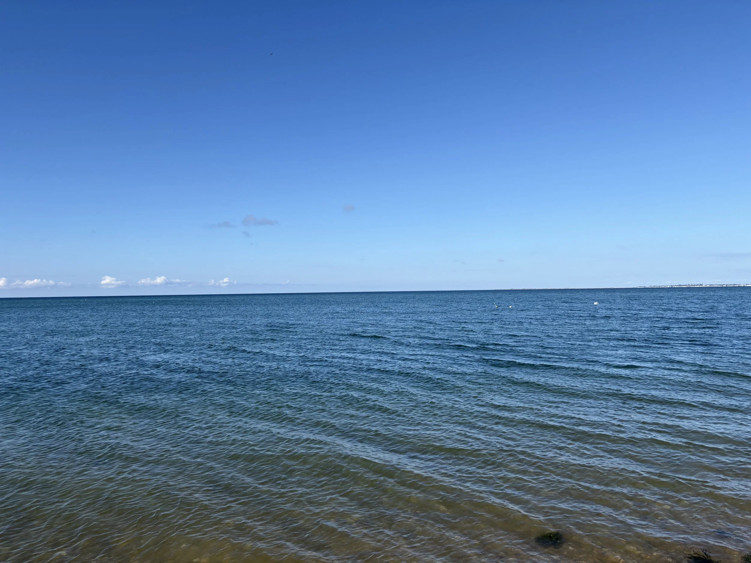 IMG_5704.jpg