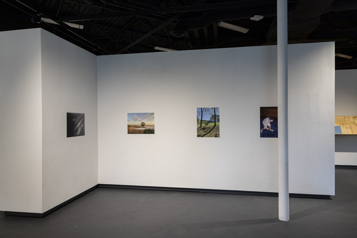  Installation view from  The Stone Garden  &amp;  Subtlety: A User’s Manual  at the Carolyn M. Wilson Gallery 