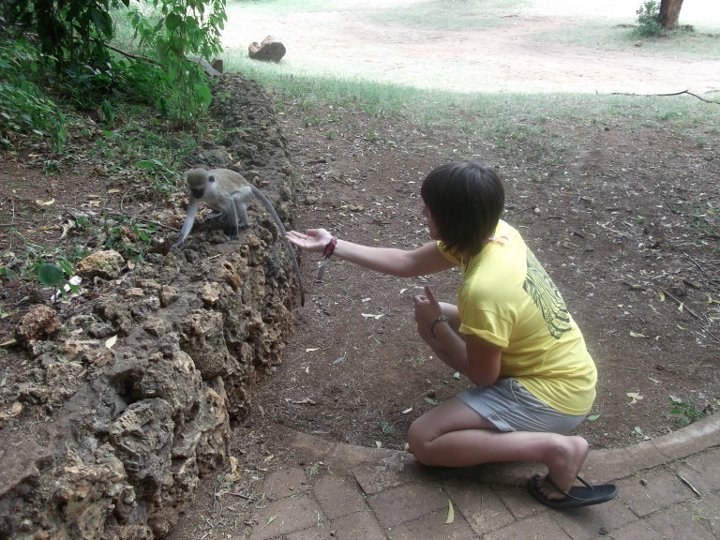 Probably trying to steal a monkey for a pet.