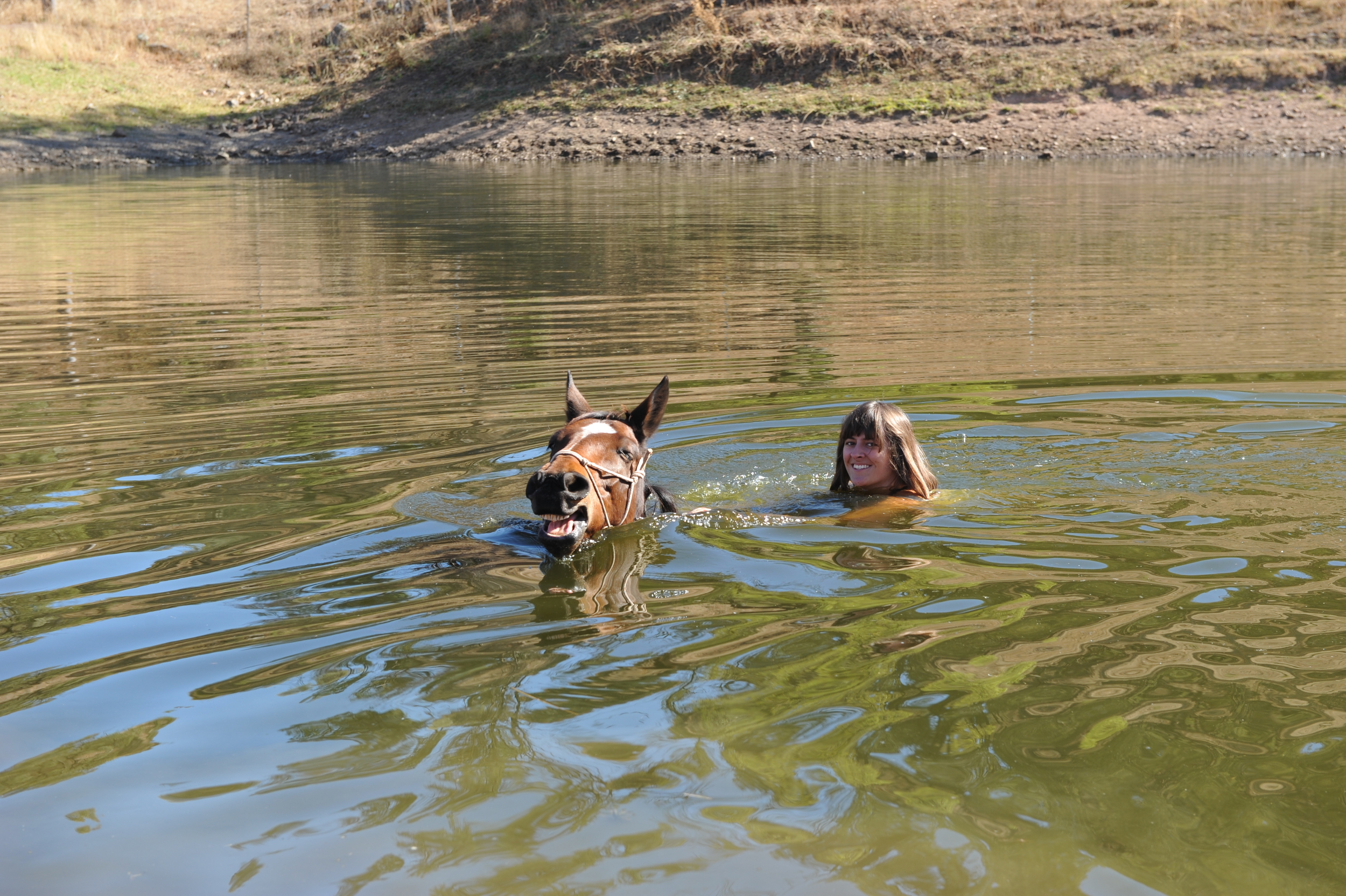 Taking Mahoo for a swim.
