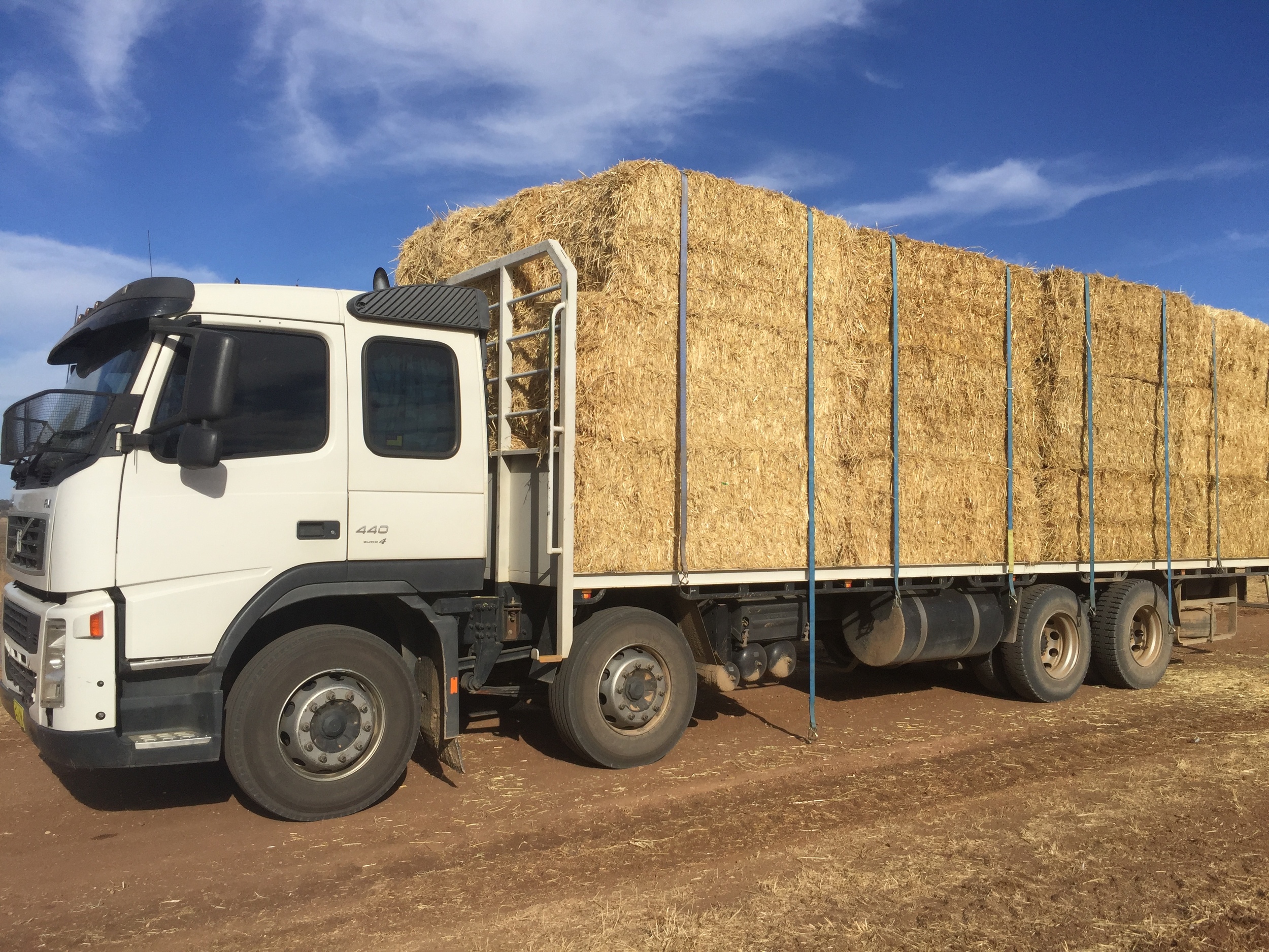 I love hay.