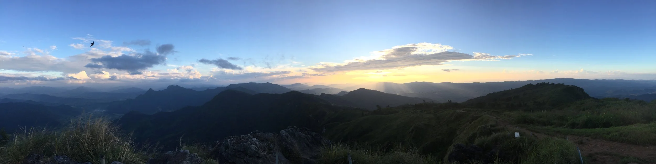 Panoramic views.