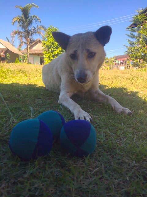 Juggling pal