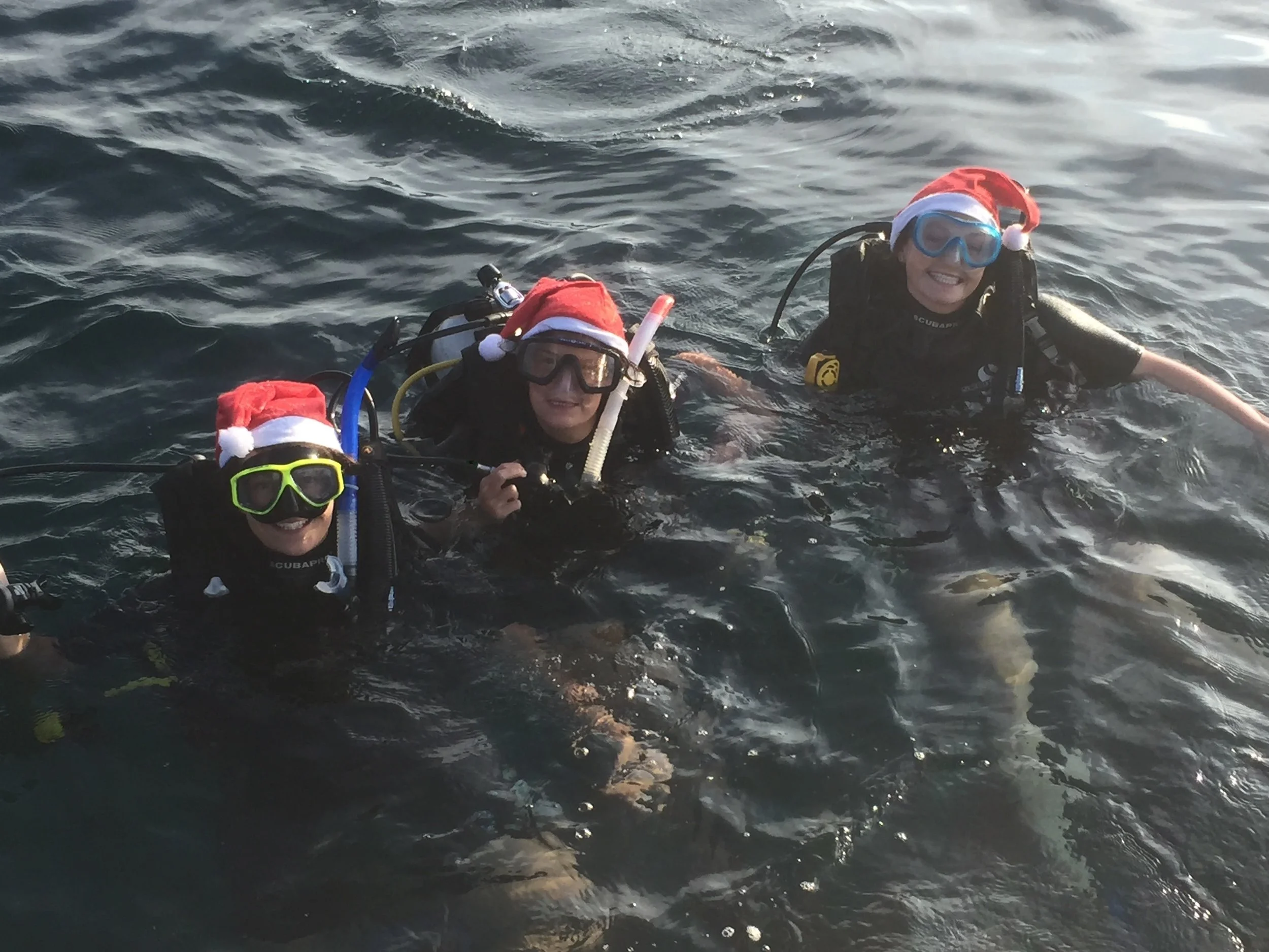 Christmas fish. 