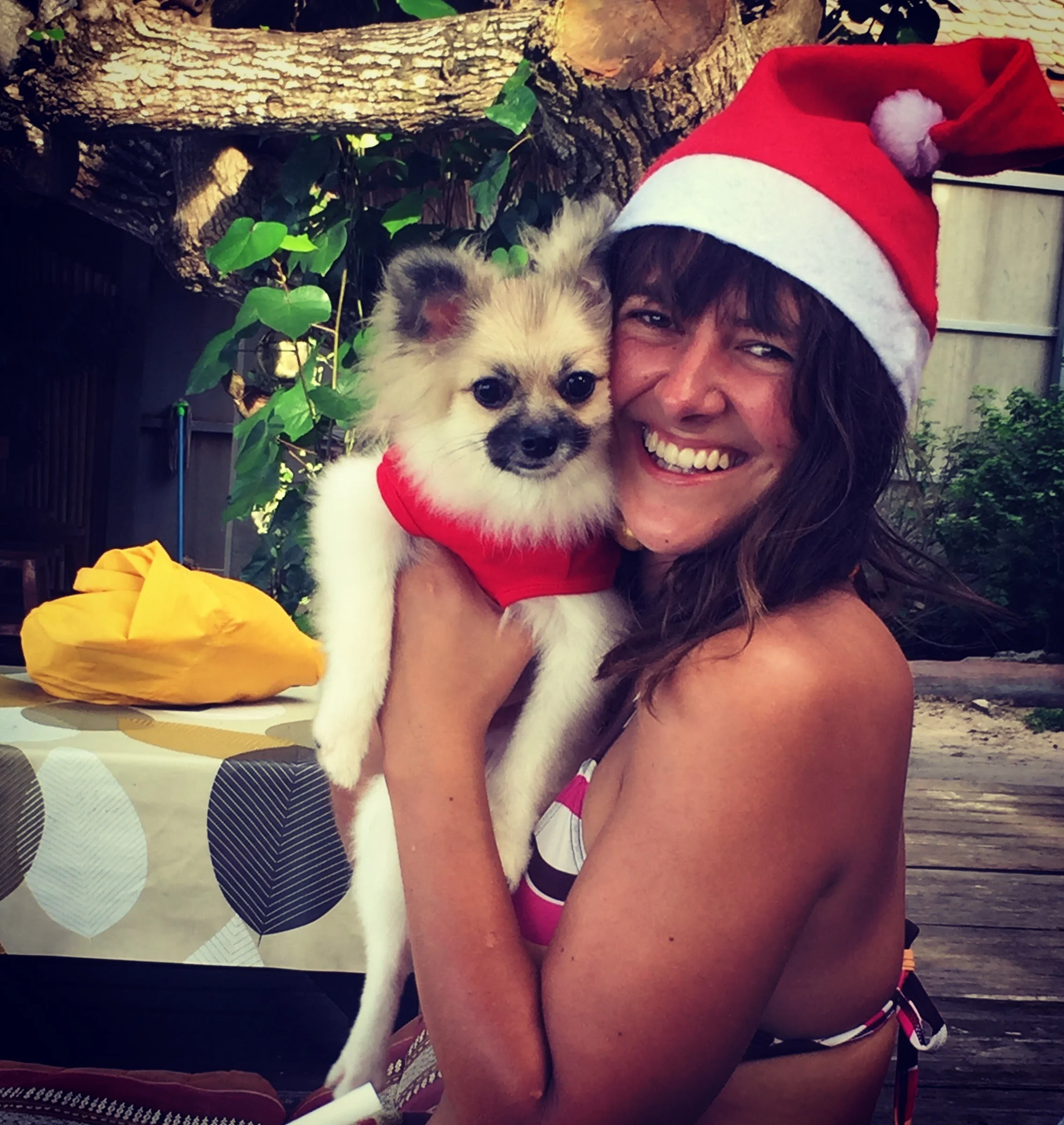 Pure Christmas joy. 