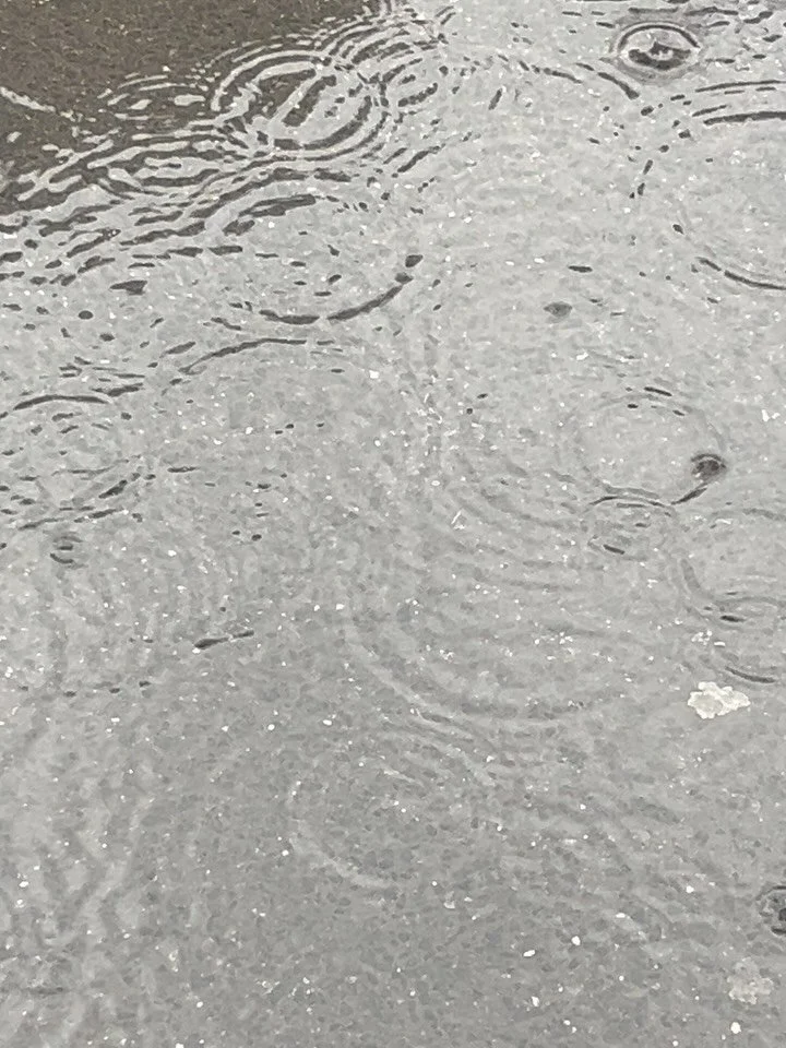 The start to a pretty GREY week so here are our fav pieces to match🐭🐭🐭
BTW we are closed tomorrow for the public holiday but back again on Wednesday xoxoxo