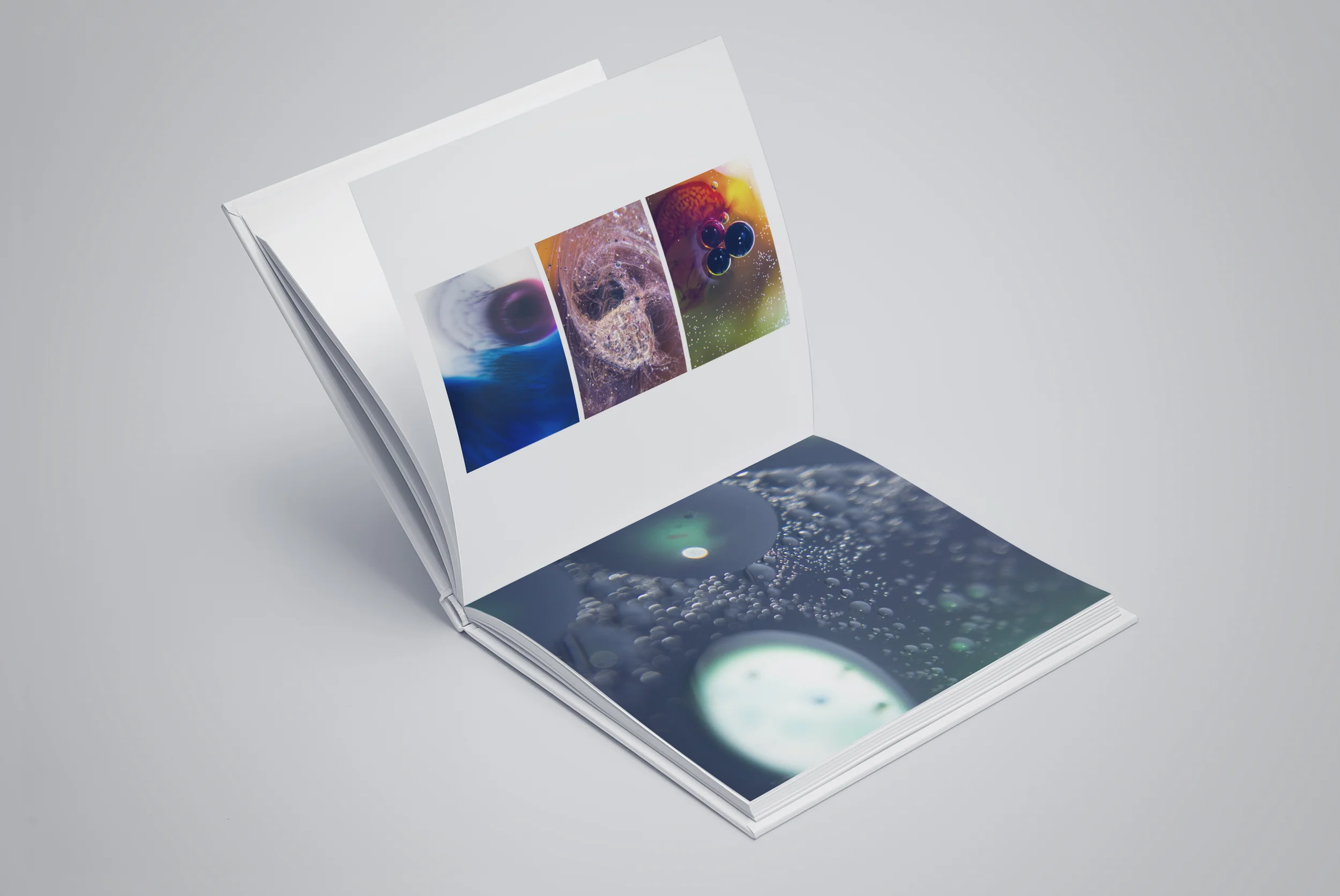 Typologies - Study of oils and color