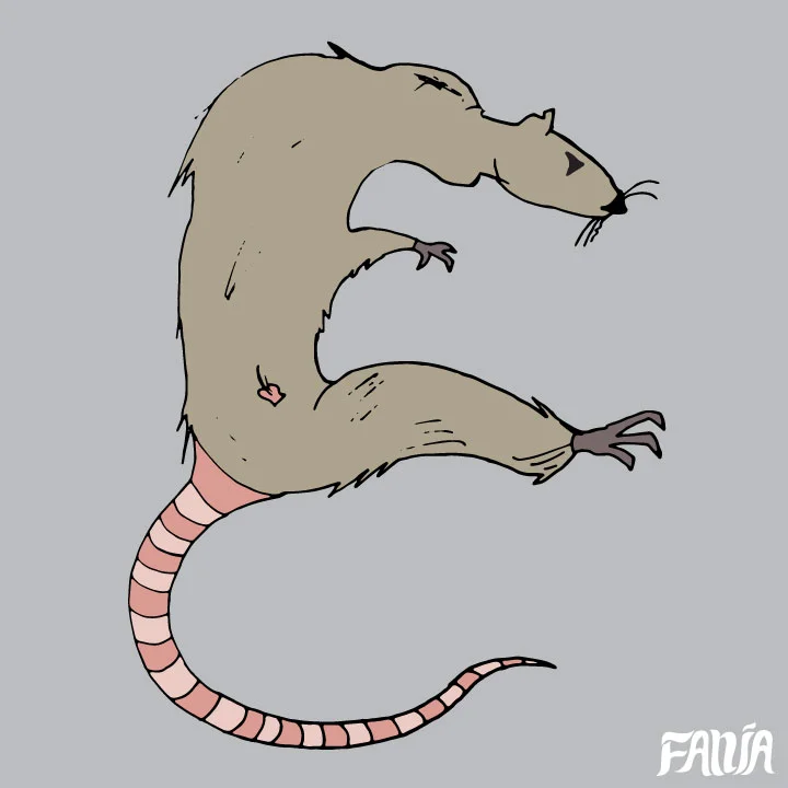raton.jpg