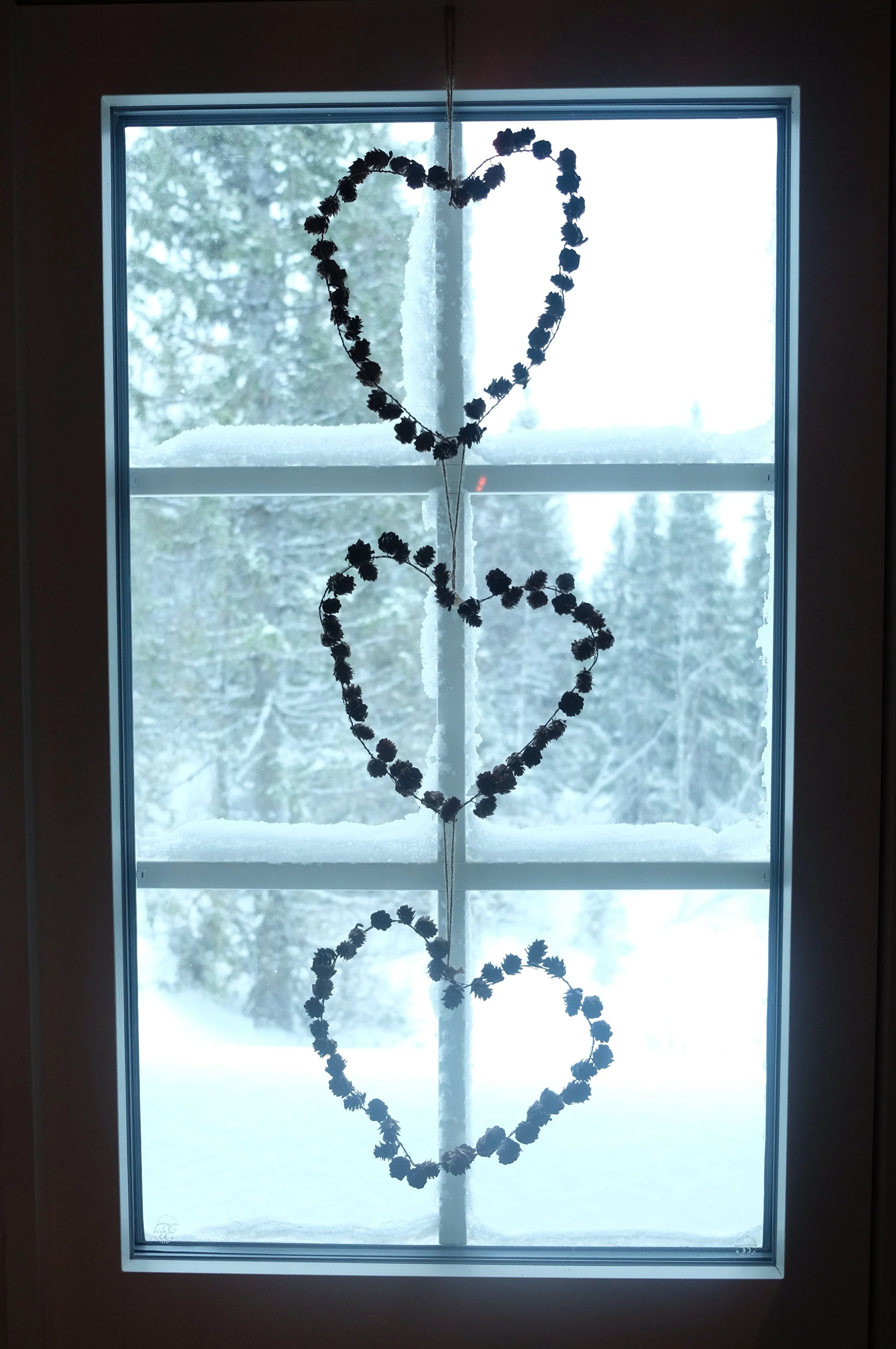 LOVE IS EVERYWHERE, DO YOU TAKE TIME TO SEE IT?