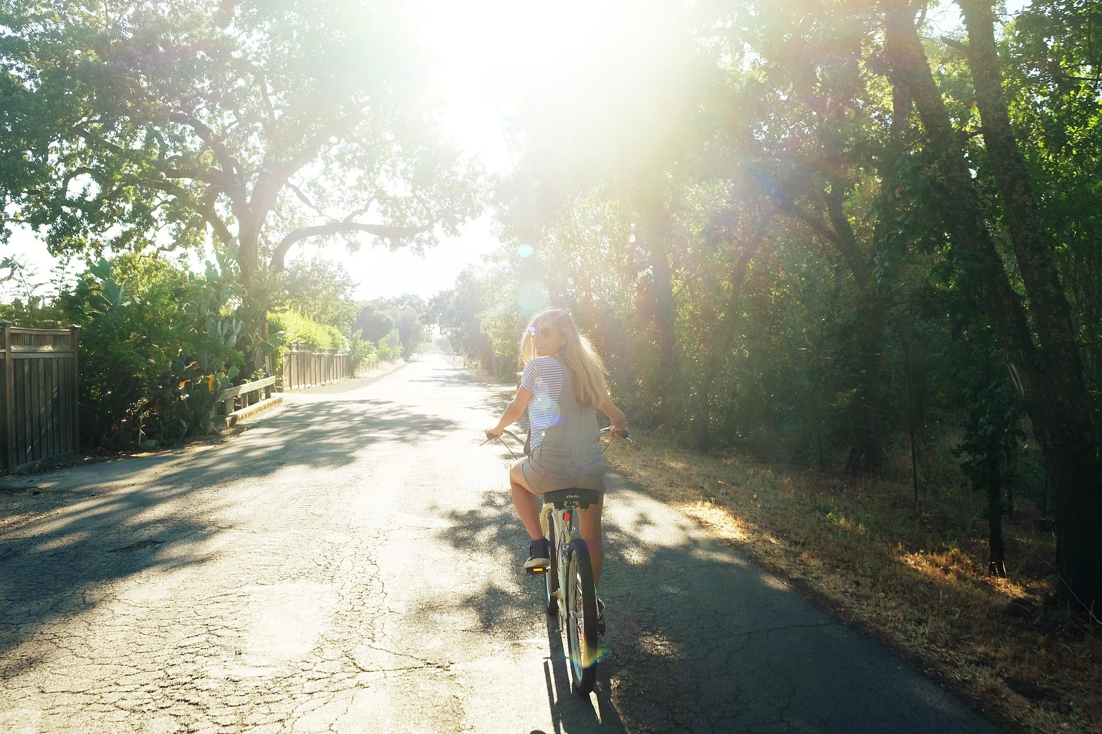 Getting To Know Sonoma Wine Country