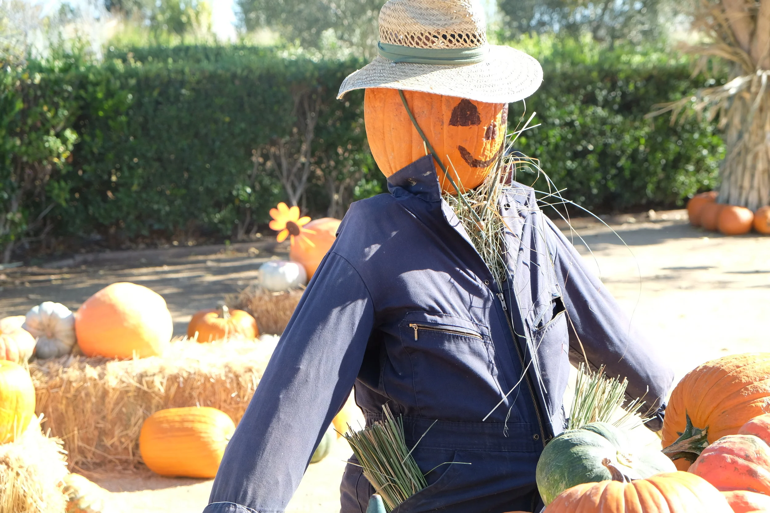 Trick or Treat Halloween Happiness 
