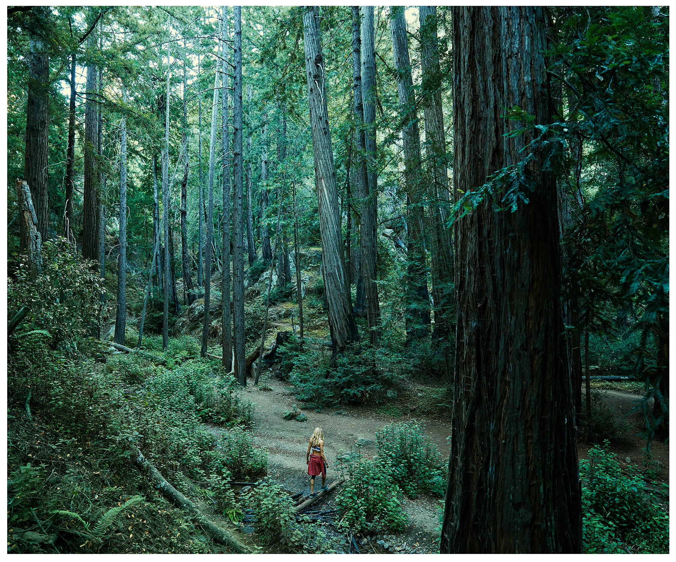 Eating Can Be Challenging—Why I Turned To Michael Pollan's Books For Help