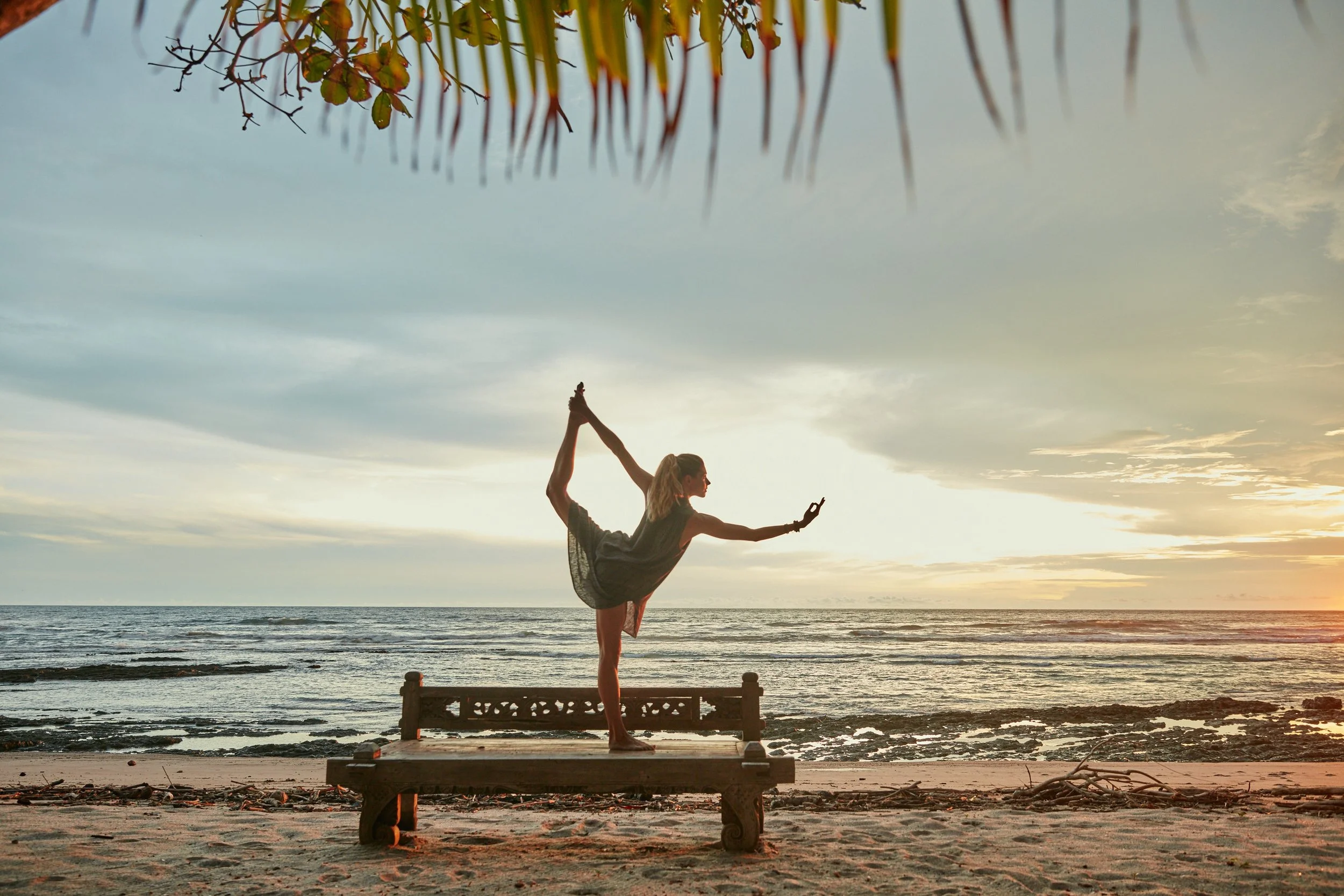 The Social Publication-Sonoma and Mindful Living