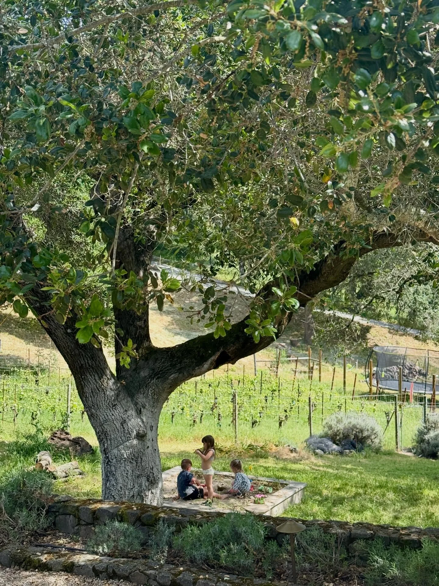 Preserving childhood is essential. To catch little voices using their imaginations. To connect with each other in a sand box. To scrape a knee trying to jump too far or learning to ride a bike. The sweetest sounds of them playing in the distance. Cli