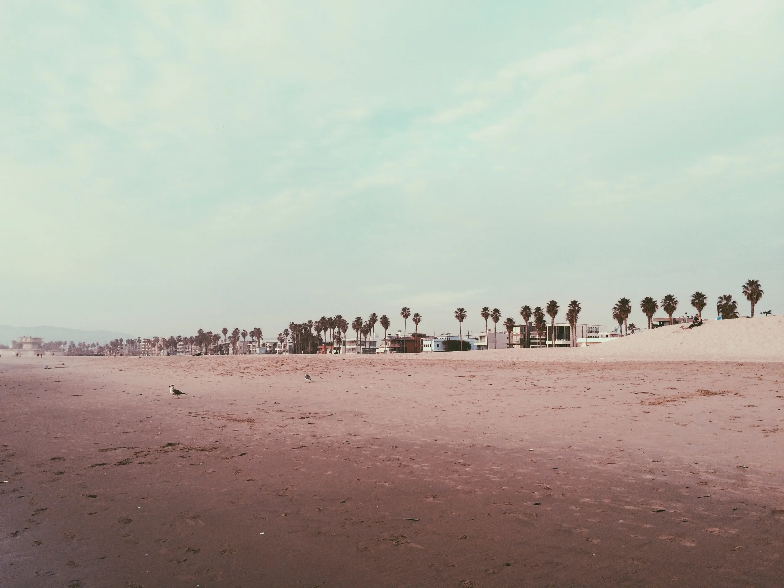 Santa Monica, 1/2015