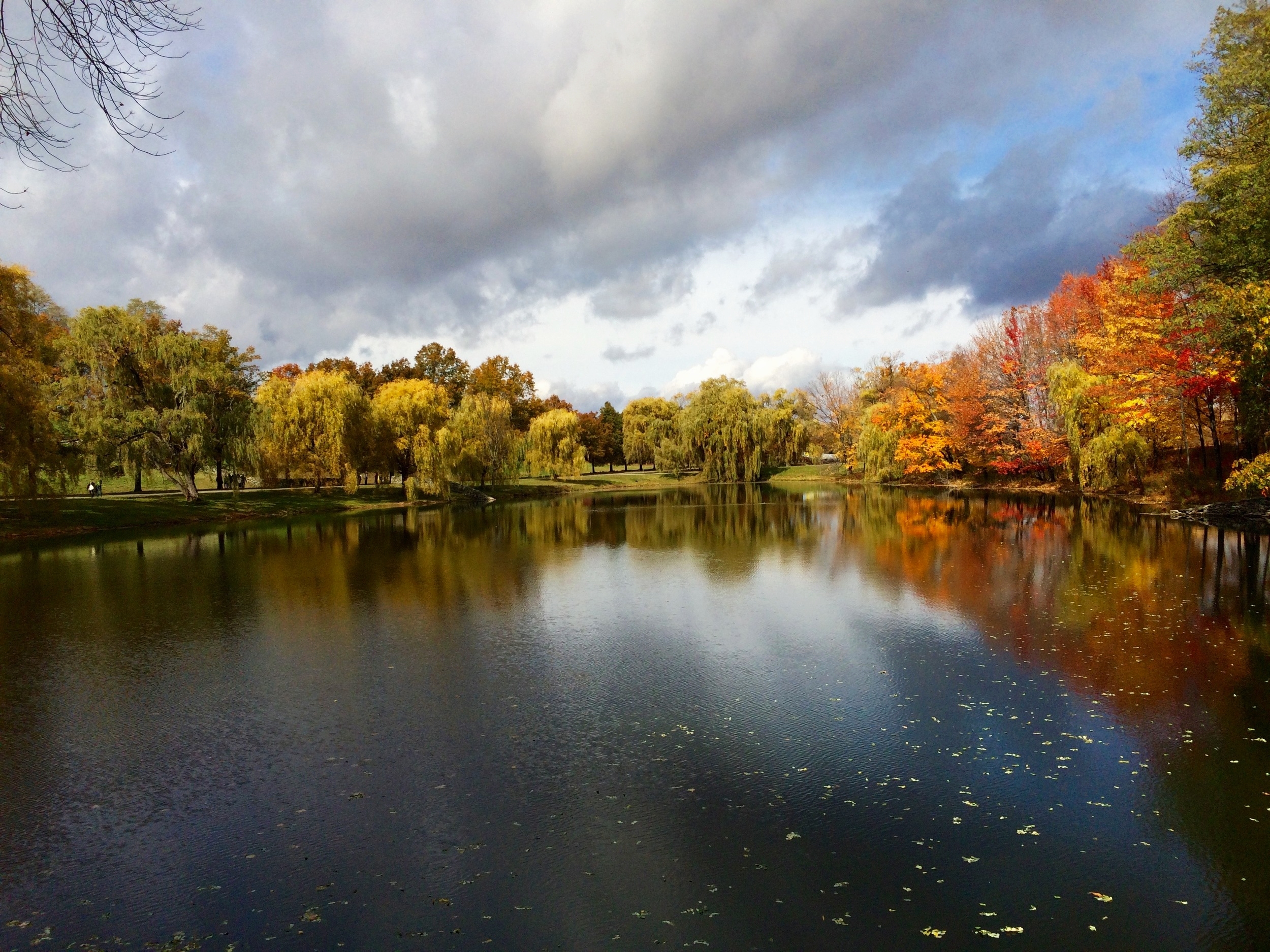 Storm King, 2015