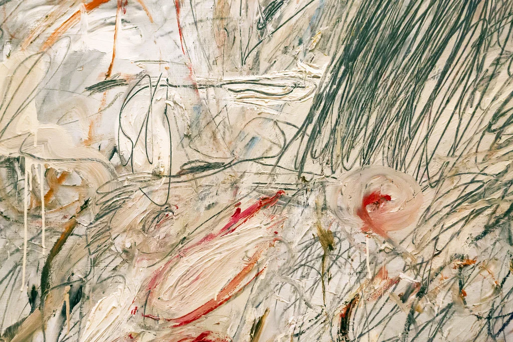 Leda and Swan by Ty Wombly, 1962 [detail]