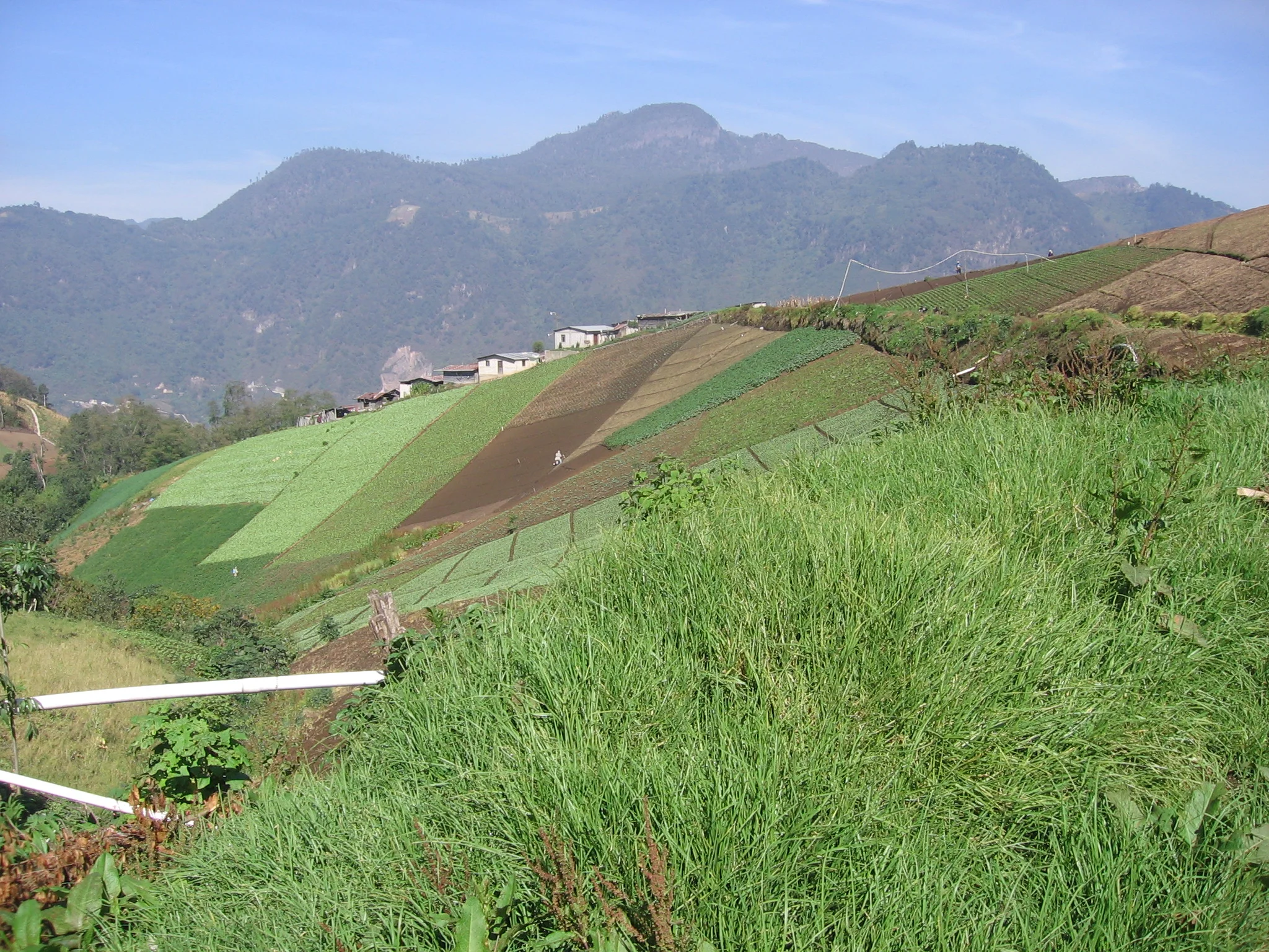 3: Maywa Montenegro on GMOs, agrobiodiversity, and the politics of who speaks for science