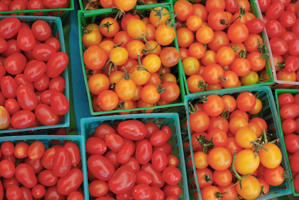 4: Farnaz Fatemi on eating in Iran, growing tomatoes, and the role poetics in a movement