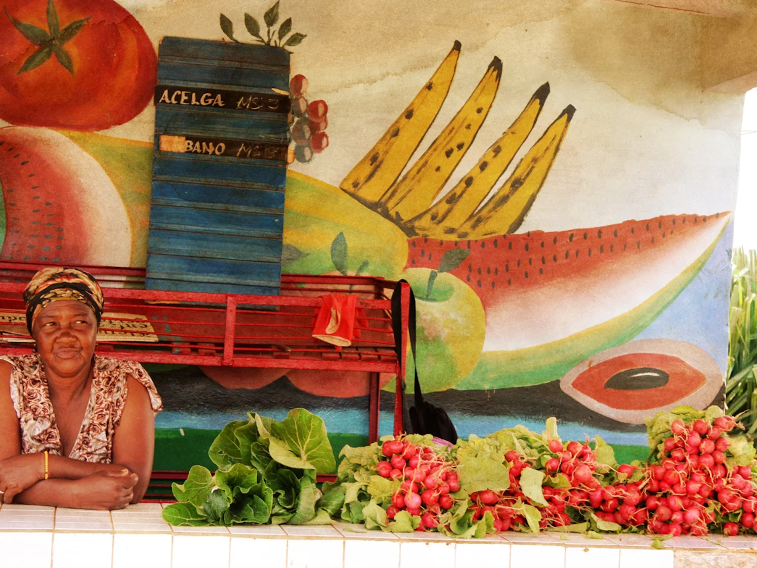 5: Kati Greaney and Pete Rasmussen on farming, solidarity, and Cuba's agroecology movement