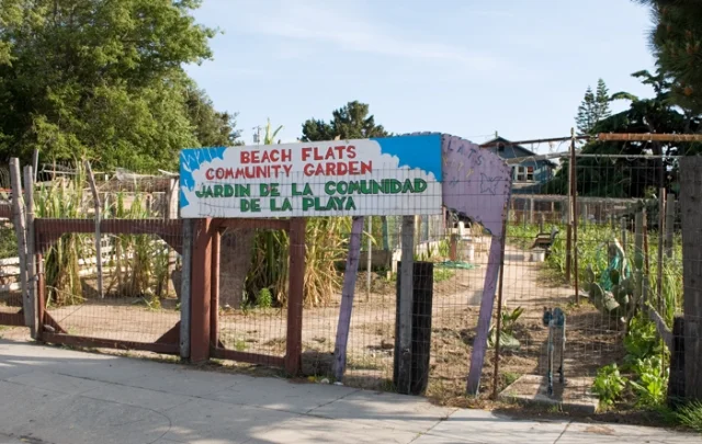 8: Michelle Glowa on urban gardens as a space for re-imagening the city