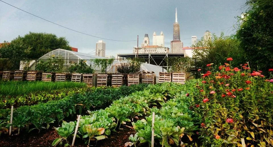 25: Anna Lappé on the connections between food systems and climate change, the myth that we need toxic chemicals to feed the world, and the growing influence of the food movement