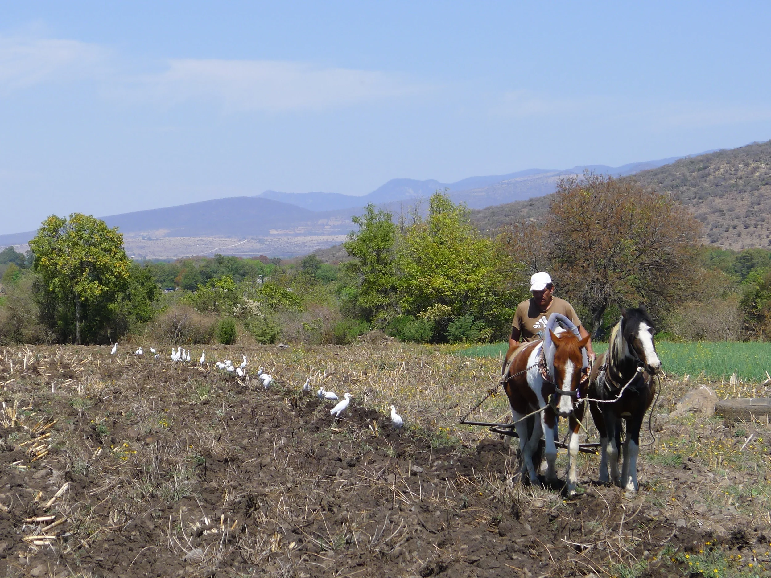 42: Dan Imhoff on how the wild got pulled out of farming, and making agriculture hospitable to wild nature