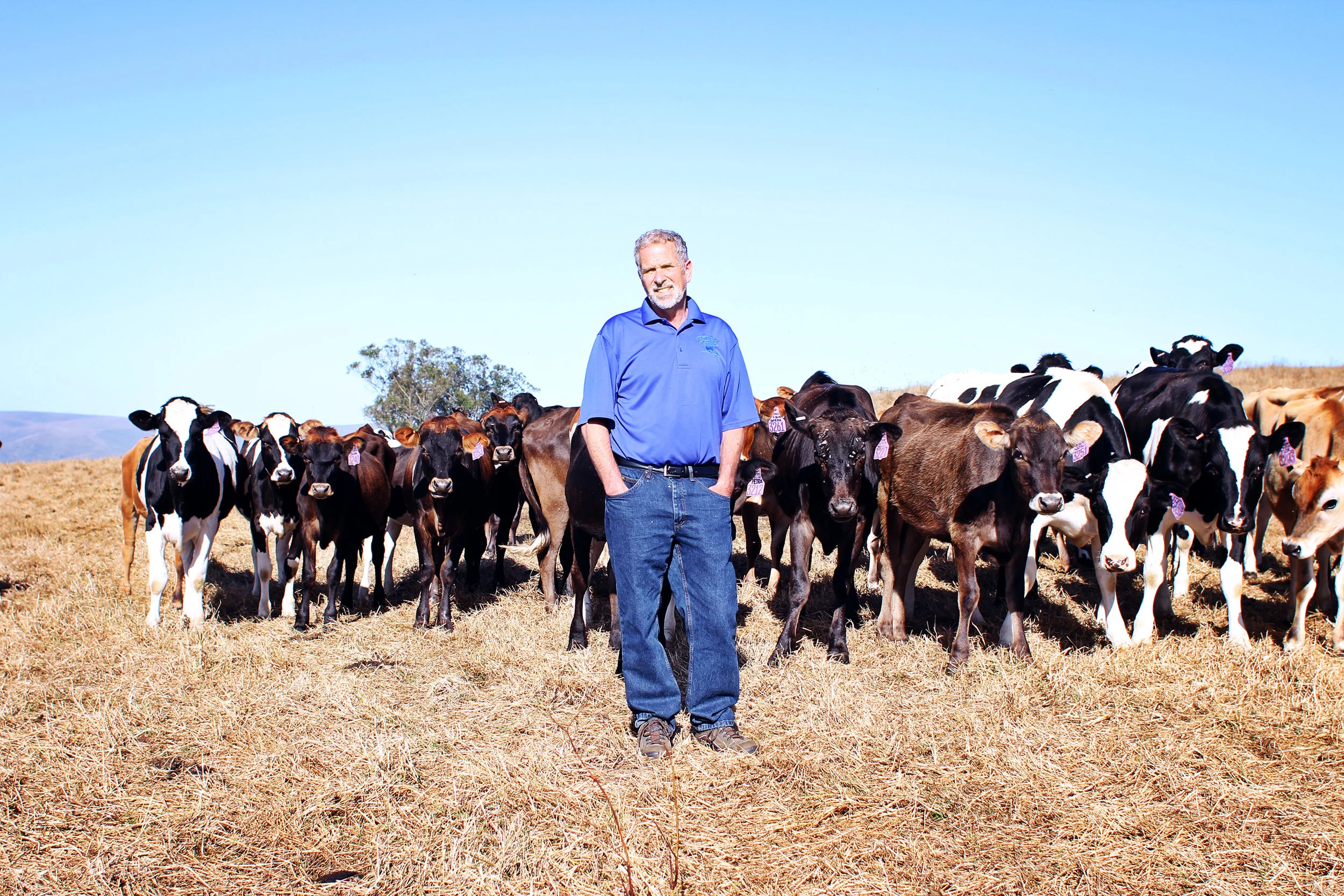 39: Albert Straus of Straus Family Creamery on building a sustainable, organic food system and revitalizing rural communities.