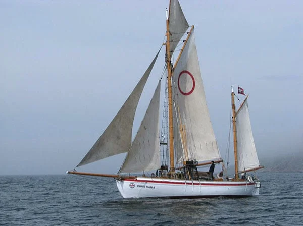 36: Amy Franceschini on victory gardens in San Francisco, a Seed Journey to the Middle East, and the importance of not finding a common language