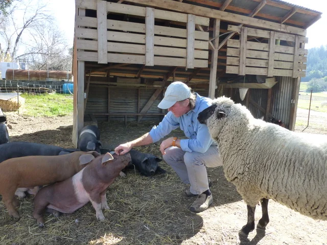 DR Special #2: Peter Buckley on blackberries and the challenges and beauty of running a diverse farm