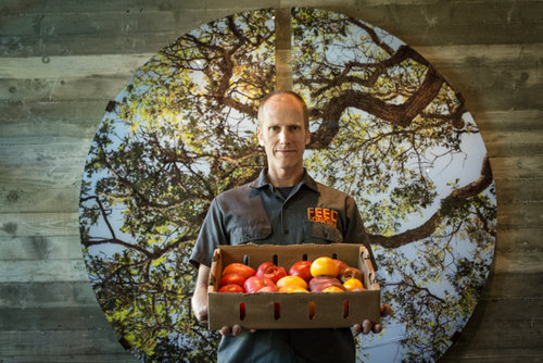 15: Tim Page of F.E.E.D. Sonoma on efficient produce distribution, supporting a community of farmers, and what to do with the ridiculous abundance of California.