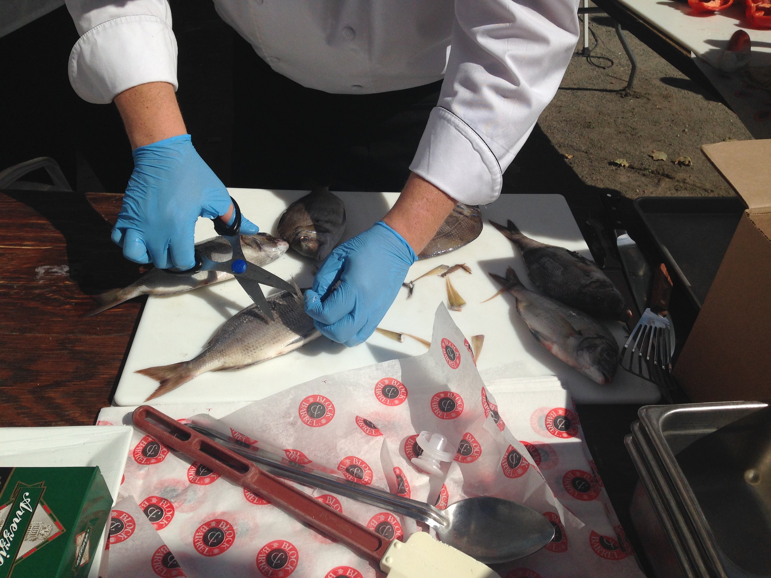 54: Niaz Dorry on organizing for land food and sea food, and organizing at the speed of trust